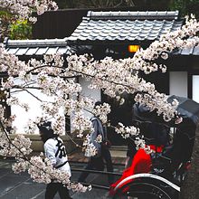 Kyoto. Fotografia, Retoque fotográfico, Criatividade, Fotografia digital, Desenvolvimento de portfólio, e Fotografia em exteriores projeto de ka_wai_w - 23.03.2021