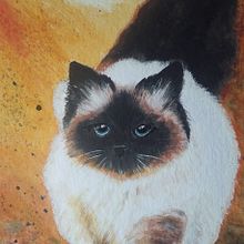 Animais fofos. Painting project by Edna Ogaki - 10.14.2021