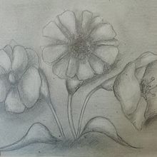 Dibuixos amb goma i carbonet- Flor.. Un projet de Dessin de Isabella Rodríguez - 15.10.2021