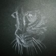 Llapis blanc sobre paper negre.. Un projet de Dessin au cra , et on de Isabella Rodríguez - 15.10.2021