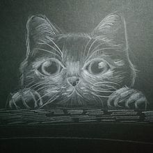 Llapis blanc sobre paper negre- Gat.. Un projet de Dessin au cra , et on de Isabella Rodríguez - 15.10.2021