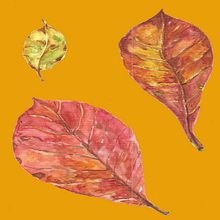 Meu projeto do curso: Ilustração botânica com aquarela. Traditional illustration, Fine Arts, Painting, Drawing, Watercolor Painting, and Botanical Illustration project by Luiz Fernando Gomes - 10.15.2021
