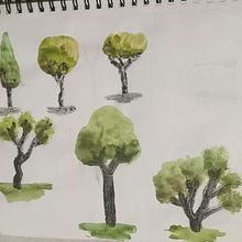 Mi Proyecto del curso: Dibujo para principiantes nivel -1 . % Emi Ly tarafından hazırlanan Kalem Çizimi, Çizim, Çocuklarla Yaratmak, Ve Eskiz defteri projesi - 10.13.2021
