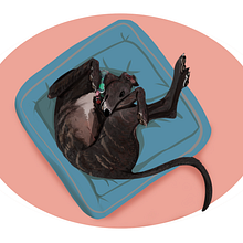 Pets illustration . Traditional illustration project by Alfred Russo - 10.16.2021