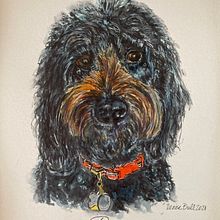 My project in Expressive Animal Portraits in Watercolor course. Een project van Traditionele illustratie, Aquarelschilderen, Realistische tekening y Naturalistische illustratie van Denise Bull - 16.10.2021