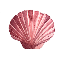 Meu projeto do curso: Ilustração de elementos naturais em aquarela. Un projet de Illustration traditionnelle, Illustration naturaliste , et Aquarelle de Mariana Lima - 16.10.2021