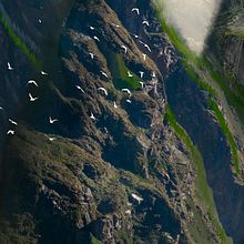 Mi Proyecto del curso: Matte Painting: creando mundos fotorrealistas. Photograph, Photograph, Post-production, Photo Retouching, Digital Photograph, Photomontage, and Matte Painting project by pridalyrr - 10.17.2021