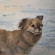 Lord Schlenkerbein (Straßenhund La Gomera). Un proyecto de Pintura de Petra Köster - 17.10.2021