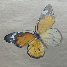 Drawings of nature in colored pencil. Traditional illustration project by Maike Maaßen - 10.17.2021