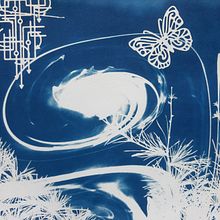 My project in Cyanotype: Printing with Light course. Arts, Crafts, Fine Arts, Printing, DIY, and Film Photograph project by Joanna Zakrzewska - 10.17.2021