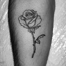 Tatuaje Rosa con Puntillismo. Un proyecto de Ilustración tradicional, Diseño y Diseño de tatuajes de Alba Martí Serra - 16.10.2021