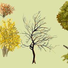 trees. Traditional illustration, Digital Illustration, and Digital Painting project by Maria - 10.09.2021