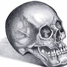 Mi Proyecto del curso: "ENRIQUE". Un proyecto de Dibujo a lápiz, Dibujo, Dibujo realista y Dibujo artístico de Ximena Almeida - 14.10.2021