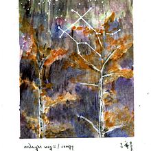 midnight song ii / canopy. Watercolor Painting, Painting, Traditional illustration, Naturalistic Illustration, and Botanical Illustration project by Rune Davino-Collins - 10.13.2021