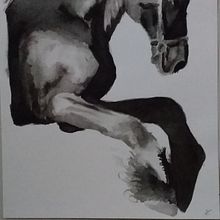 Caballo de tinta . Ilustrasi Tinta proyek oleh Lya Bencosme - 10.18.2021