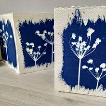 HINOJO SILVESTRE (Mi Proyecto del curso: Cianotipia: técnica de impresión con luz). Arts, Crafts, Fine Arts, Printing, DIY, Film Photograph, Botanical Illustration, Photograph, and Bookbinding project by jorge blu - 10.18.2021