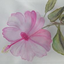 Mi Proyecto del curso: Ilustración botánica con acuarela. Un progetto di Illustrazione tradizionale, Belle arti, Pittura, Disegno, Pittura ad acquerello e Illustrazione botanica di Monica Ruiz - 18.10.2021