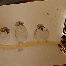 My project in Artistic Watercolor Techniques for Illustrating Birds course. Traditional illustration, Watercolor Painting, Realistic Drawing, and Naturalistic Illustration project by Sintija Valucka - 10.18.2021