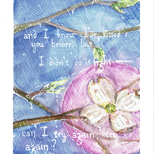 Cornus florida / pink in the night. Watercolor Painting, Painting, Traditional illustration, Botanical Illustration, and Naturalistic Illustration project by Rune Davino-Collins - 10.18.2021