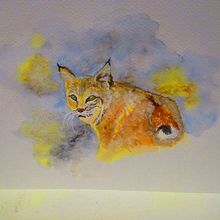 My project in Expressive Animal Portraits in Watercolor course. Ilustração tradicional, Pintura em aquarela, Desenho realista e Ilustração naturalista projeto de jackie_francis - 16.10.2021