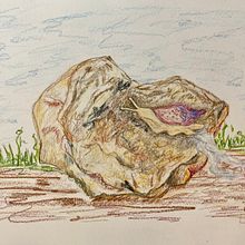 31 days 31 drawings 2021. Traditional illustration, and Drawing project by Judy - 10.18.2021