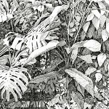 Expedición Botánica por el jardín de mi casa. Traditional illustration, Sketching, Drawing, Digital Illustration, Artistic Drawing, Instagram, Botanical Illustration, Sketchbook, Ink Illustration, and Naturalistic Illustration project by David Morales - 01.01.2020