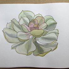Mi Proyecto del curso: Sketchbook botánico: una aproximación meditativa. Traditional illustration, Sketching, Drawing, Sketchbook, Watercolor Painting, and Botanical Illustration project by Julie Million - 10.19.2021