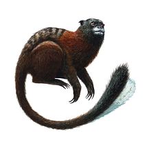 Encargos especiales animales . Un projet de Design , Beaux Arts, Illustration botanique, Illustration à l'encre, Illustration naturaliste, Aquarelle, Peinture, Peinture acr , et lique de Iván Cruz - 05.02.2019