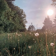 Meu projeto do curso: Fotografia profissional para Instagram. Publicidade, Fotografia, Marketing, Redes sociais, Fotografia com celular, Fotografia do produto, Mobile Marketing, Instagram, Fotografia para Instagram, Fotografia Lifest, e le projeto de Adriano e Amanda - 18.10.2021