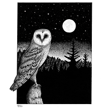 Meu projeto do curso: Ilustração com tinta e bico de pena: registre o mundo natural. Sketching, Drawing, Artistic Drawing, Sketchbook, Ink Illustration, and Naturalistic Illustration project by Debora Torigoe - 10.20.2021