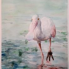 Spoonbill. Un proyecto de Pintura a la acuarela de Tyler Scott - 03.11.2020