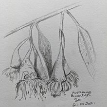 31 Days 31 Drawings 2021. Traditional illustration project by Sue Orchison - 10.20.2021