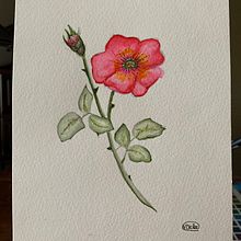 31 days 31 drawings 2021. Projekt z dziedziny Trad, c i jna ilustracja użytkownika vacker8 - 21.10.2021
