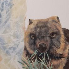 Wombat. Traditional illustration project by mcpaan - 10.22.2021