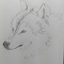 31 Days 31 Drawings 2021. Traditional illustration project by Sue Orchison - 10.22.2021