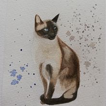 Siamese. Pintura em aquarela projeto de Ornella Ferrari - 22.10.2021