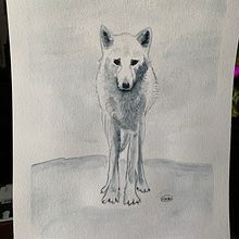 31 days 31 drawings 2021. Projekt z dziedziny Trad, c, jna ilustracja i Malowanie akwarelą użytkownika vacker8 - 22.10.2021