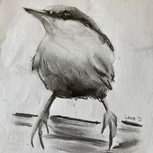 Watercolour Bird Project with Sarah Stokes. Watercolor Painting project by Louise Duffett - 10.22.2021