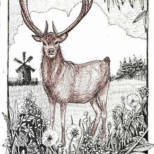 My project in Dip Pen and Ink Illustration: Capturing The Natural World course. Un proyecto de Bocetado, Dibujo, Dibujo artístico, Sketchbook, Ilustración con tinta e Ilustración naturalista				 de Afroditi Mavroeidi - 24.10.2021