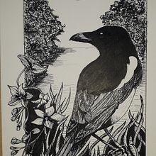 My project in Dip Pen and Ink Illustration: Capturing The Natural World course Ein Projekt aus dem Bereich Skizzenentwurf, Zeichnung, Artistische Zeichnung, Sketchbook, Illustration mit Tinte und Naturalistische Illustration von Sue Higgerson - 24.10.2021