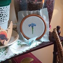 Mi Proyecto del curso: Bordado con needle painting: recrea la belleza de la vida salvaje. Embroider, and Traditional illustration project by Beatriz Pérez Peiró - 10.24.2021