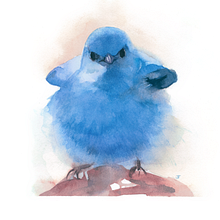 Fluffy Birds. Een project van Aquarelschilderen y Traditionele illustratie van Marcus Penna - 25.10.2020