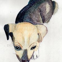 Mi Proyecto del curso: Técnicas experimentales de acuarela para principiantes . Traditional illustration, Fine Arts, Watercolor Painting, and Naturalistic Illustration project by Luis Alejandro Robayo León - 10.24.2021