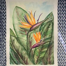 Flor del paraiso. Un projet de Aquarelle de paulaxgonza - 25.10.2021