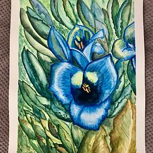 Puya. Un projet de Aquarelle de paulaxgonza - 25.10.2021