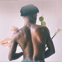 À flor da pele l Coletânea 005 . Film, Video, and TV project by Olívia Mucida - 08.11.2019
