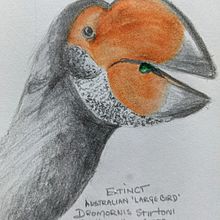 31 Days 31 Drawings 2021. Traditional illustration project by Sue Orchison - 10.25.2021