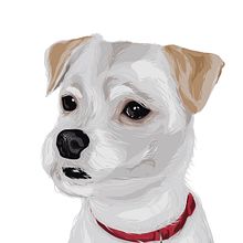 Meu projeto do curso: Técnicas de ilustração de retratos com Illustrator e Photoshop. Un projet de Illustration traditionnelle et Illustration numérique de Juliana Ferreira - 26.10.2021