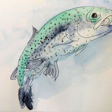 Ganz frischer Fisch!. Un proyecto de Ilustración tradicional, Bocetado, Creatividad, Dibujo, Pintura a la acuarela y Sketchbook de Elke Sauter - 26.10.2021