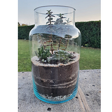 Mon projet du cours : Art végétal : créez votre terrarium ouvert . Un proyecto de Diseño de interiores, Paisajismo, Decoración de interiores, DIY, Diseño floral y vegetal de Karen Rutter - 27.10.2021